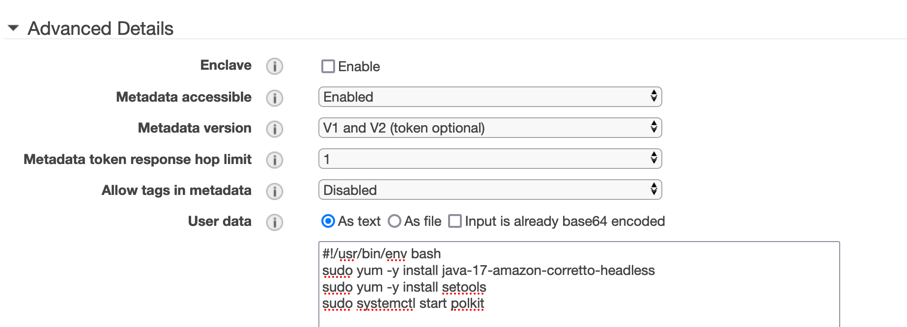 User data config for EC2 Instance