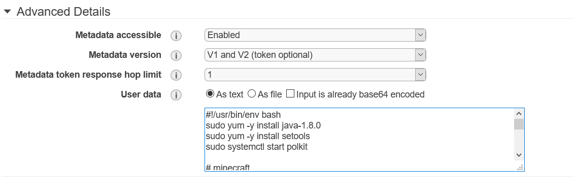 User data config for EC2 Instance